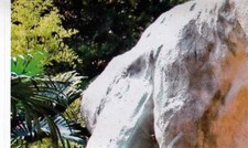 Rewe WWF Tier Abenteuer