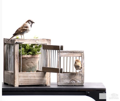 Vogelkäfig schaukasten - vogelkäfig,