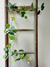 Eukalyptus Seidenblumen