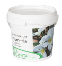 Spezialdünger für Plumeria &