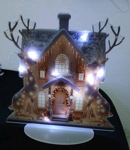 Winterhaus mit led beleuchtung - mit,