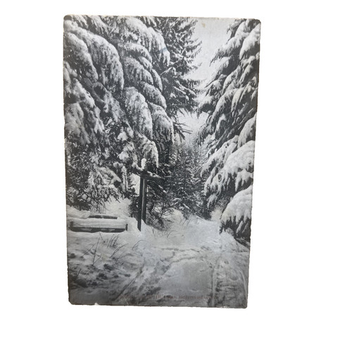 Postkarte blasien - ak,