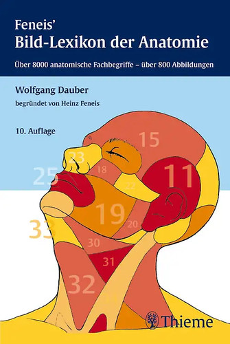 Bild lexikon der - der, anatomie