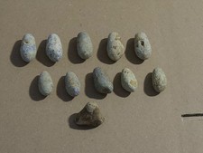  11st .Originale  preußische Langblei Geschosse Oliven Bullets von 1870