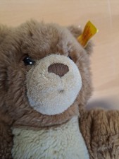 Steiff: Teddy "Cosy" 018657 -