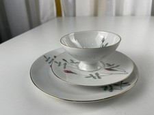 Porzellan Sammler Geschirr /