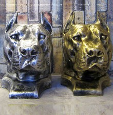 Büste Pitbull H: 35cm