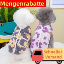 Kleines Haustier Hund