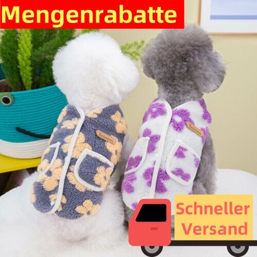 Kleines haustier hund - haustier,