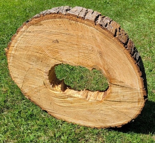 Baumscheibe von der - 🌳,