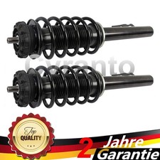 2x Federbeine Vorderasch