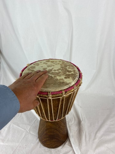 Djembe trommel cm groß - ,
