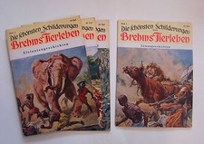 Schönsten Schilderungen aus