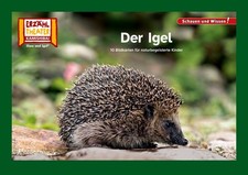 Der Igel / Kamishibai