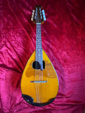 Mandoline mit 8 Saiten