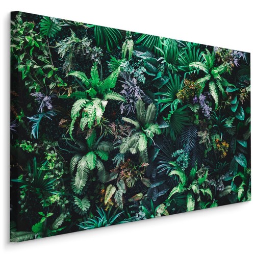 Canvas leinwand bilder - bilder, xxl