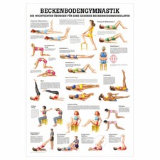 Beckenbodengymnastik lehrtafel - beckenbodengymnastik,