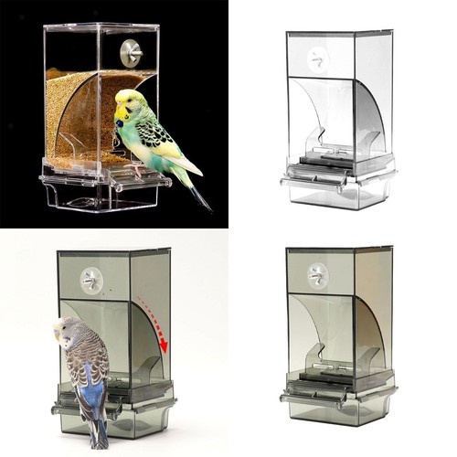 Kein durcheinander vogelkäfig - kein,