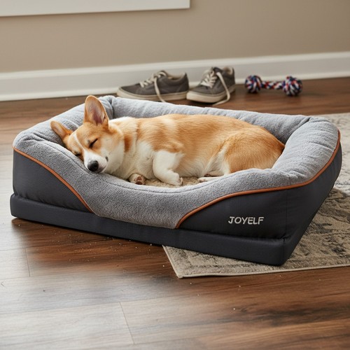 Hundebett memory schaum - hundebett, memory-schaum
