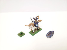 Warhammer Bretonia Bretonnia Bretonen Fay Enchantress Prophetess + Frog Metal