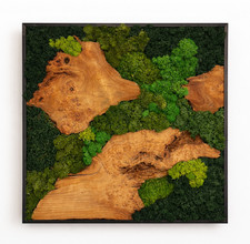 Moosbild mooswand 40cm - moosbild, l