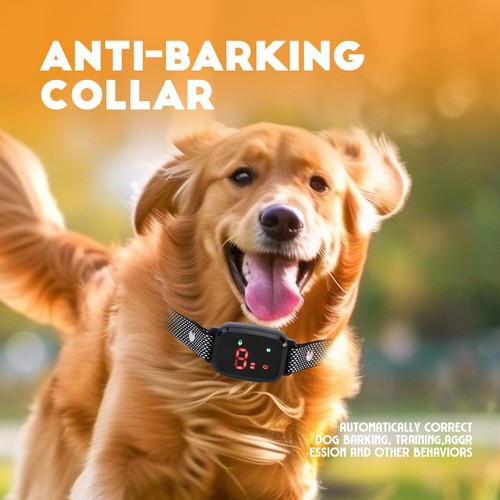 3in1 anti bell hundehalsband - 3in1,