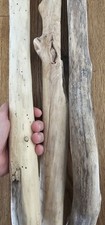 3x wunderschönes Treibholz