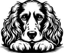 Cocker spaniel aufkleber - cocker,