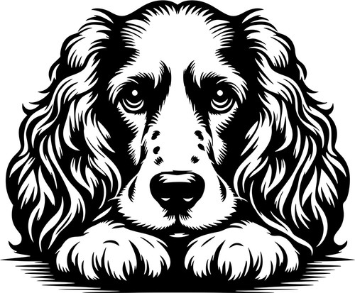 Cocker spaniel aufkleber - aufkleber,
