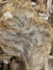 100g Coburger Fuchs Lammwolle