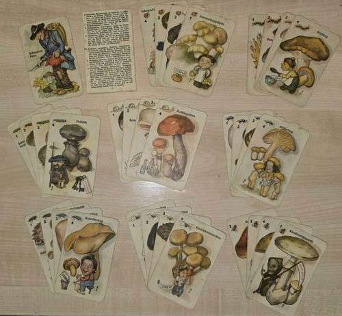 Altes pilz quartett - pilz-quartett, "essbar"