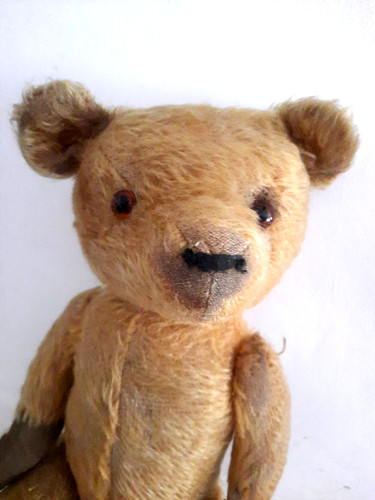 Antiker teddybär holzwolle - antiker, teddybär,