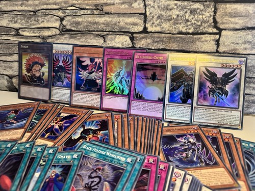 Schwarzflügel deck - schwarzflügel,
