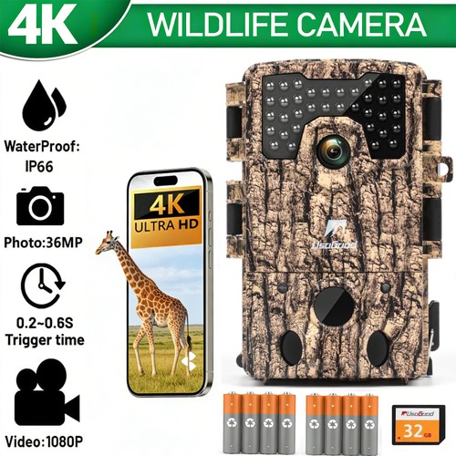 Wildkamera video - wildkamera,