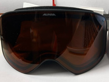 Alpina Sports Skibrille Cent