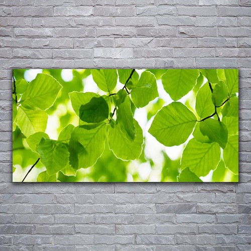 Acrylglasbilder wandbilder - acrylglasbilder,