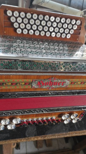 Steirische harmonika hohner - steirische,