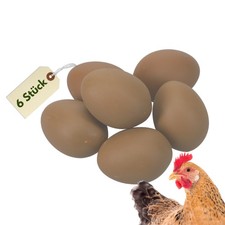 6x Legeeier Kunsteier Nesteier