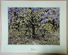 Poster 40x50cm Altes Fahrrad