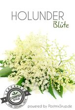 Holunderblüte - Sirup - Holunder - Getränkesirup - Postmix - 10lBiB  (7,50€/L)