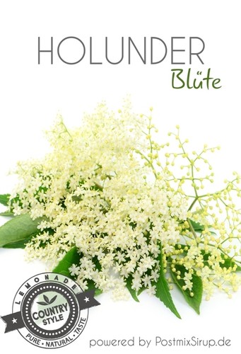 Holunderblüte sirup - holunderblüte,