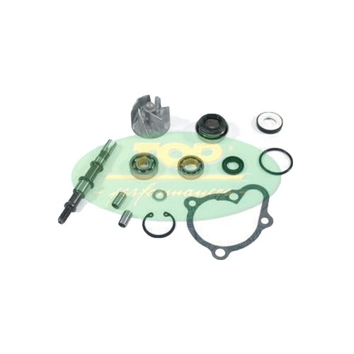 Aa00816 kit überholung - aa00816,
