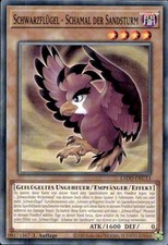 Schwarzflügel - Schamal der