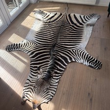 Original Zebrafell aus Namibia – Nachhaltige Herkunft & Einzigartige Maserung 