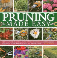 Pruning Made Easy: The