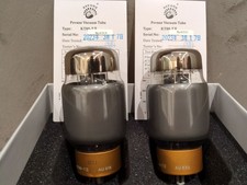 Psvane KT88-T-MII/2 Gematchtes