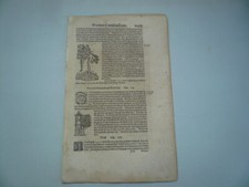Limburg-Neuß, anno 1590