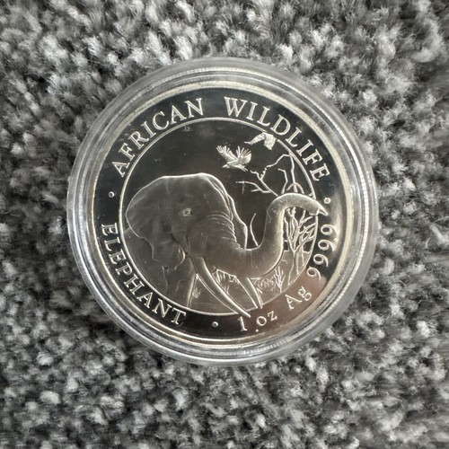 Silber anlagemünze african - anlagemünze,