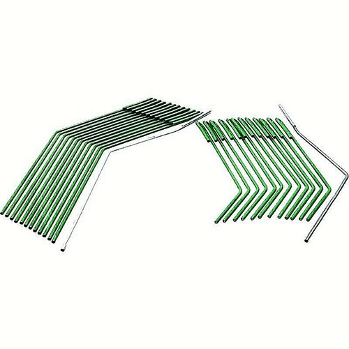 Striegelzinken amazone - striegelzinken,