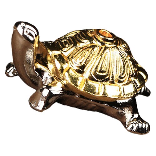 Schildkröten zubehör - schildkröten,